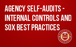 Agency Self-Audits - Internal Controls and SOX Best Practices