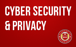 Cyber Security & Privacy