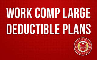 Work Comp Large Deductible Plans