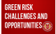 Green Risk- Challenges and Opportunities Facing Insurers