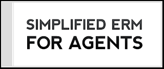 agent role in risk management