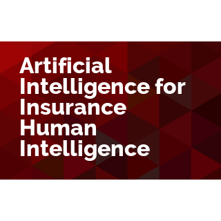 Artificial Intelligence for the Insurance Industry