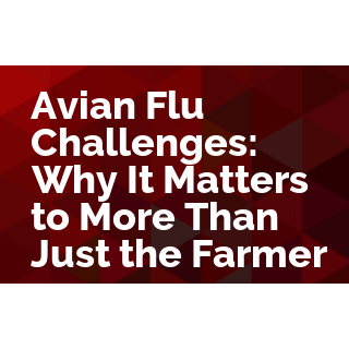 Avian Flu Challenges: Why It Matters to More Than Just the Farmer 