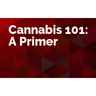 Cannabis 101: A Primer