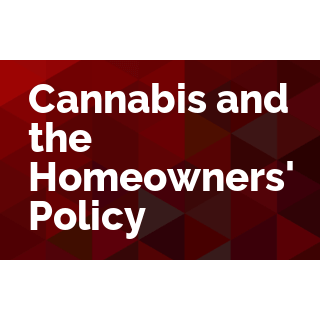 Cannabis and the Homeowners' Policy
