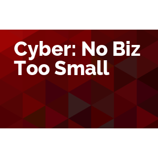 Cyber: No Biz Too Small