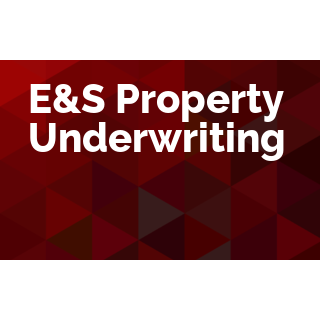 E&S Property Underwriting