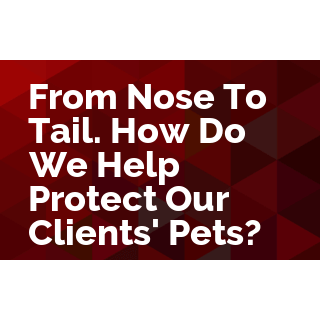 From Nose to Tail. How Do We Help Protect Our Clients' Pets?