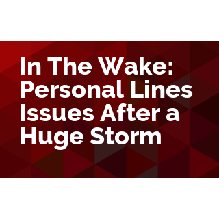In The Wake: Personal Lines Issues After a Huge Storm