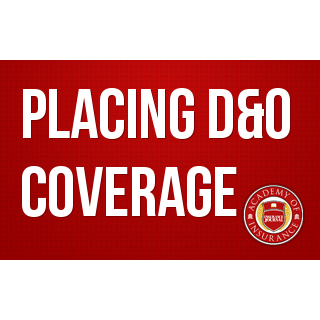 Placing D&O Coverage: Today's Critical Considerations for Every Broker