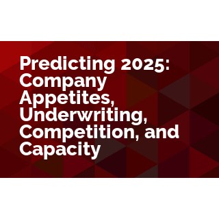 Predicting 2025: Company Appetites, Underwriting, Competition, and Capacity