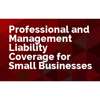 Professional and Management Liability Coverage for Small Business