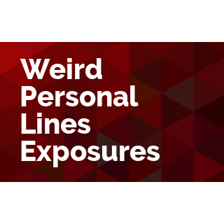 Weird Personal Lines Exposures