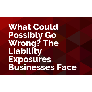 What Could Possibly Go Wrong? The Liability Exposures Businesses Face