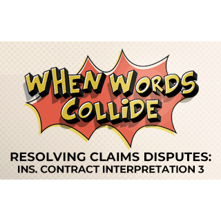 Insurance Contract Interpretation 3
