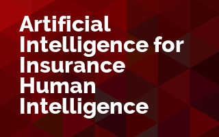 Artificial Intelligence for the Insurance Industry