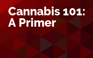 Cannabis 101: A Primer