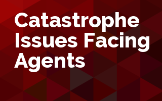 Catastrophe Issues Facing Agencies