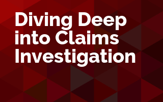 Diving Deep into Claims Investigation