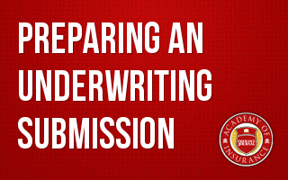 Preparing an Underwriting Submission