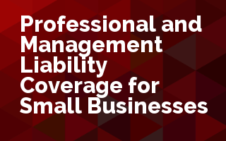 Professional and Management Liability Coverage for Small Business