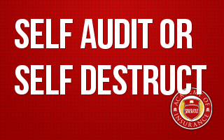 Self-Audit or Self-Destruct