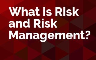 What is Risk and Risk Management