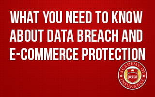 What You Need to Know about Data Breach and E-Commerce Protection