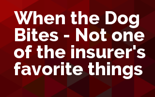 When the Dog Bites - Not one of the insurer's favorite things