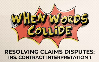 Insurance Contract Interpretation 