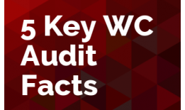 5 Key Work Comp Audit Facts