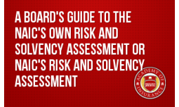  A Board's Guide to NAIC