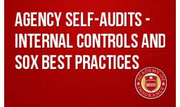Agency Self-Audits - Internal Controls and SOX Best Practices