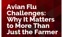 Avian Flu Challenges: Why It Matters to More Than Just the Farmer 