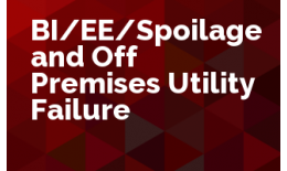 BI/EE/Spoilage and Off Premises Utility Failure 