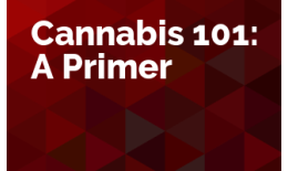 Cannabis 101: A Primer