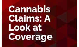Cannabis Claims: A Look at Coverage