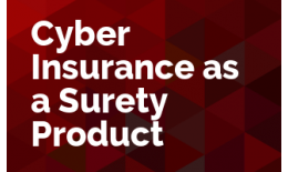 Cyber Insurance as a Surety Product