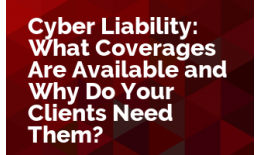 Cyber Liability: What Coverages Are Available and Why Do Your Clients Need Them?