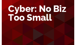 Cyber: No Biz Too Small