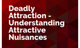 Deadly Attraction - Understanding Attractive Nuisances