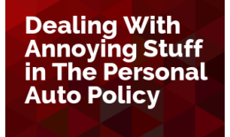 Dealing With Annoying Stuff in The Personal Auto Policy