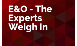 E&O - The Experts Weigh In