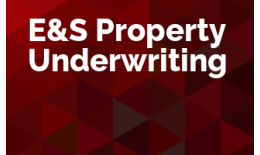 E&S Property Underwriting