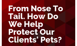 From Nose to Tail. How Do We Help Protect Our Clients' Pets?