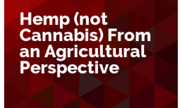 Hemp (not Cannabis) From an Agricultural Perspective