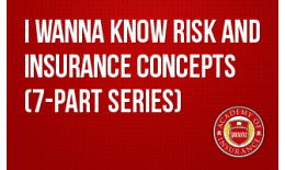 I Wanna Know Risk and Insurance Concepts (7-part series)