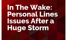 In The Wake: Personal Lines Issues After a Huge Storm