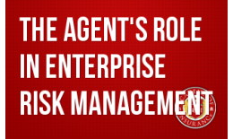 The Agent's Role in Enterprise Risk Management
