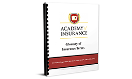 Insurance Terms and Definitions Book
